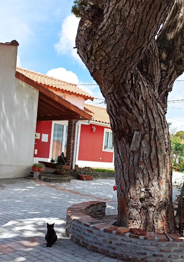 Casa De Campo A 5 Minutos Da Praia Atouguia Da Baleia Ngoại thất bức ảnh